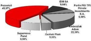 Akcjonariat I 2011 (1)