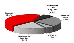 Akcjonariat VII 2011 (1)