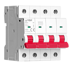 Miniature Circuit Breaker RMC6, Miniature Circuit Breaker 