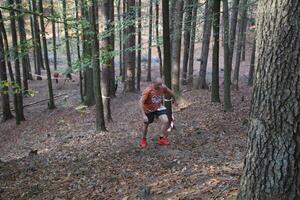 Cross po Zielonym Lesie Żary 